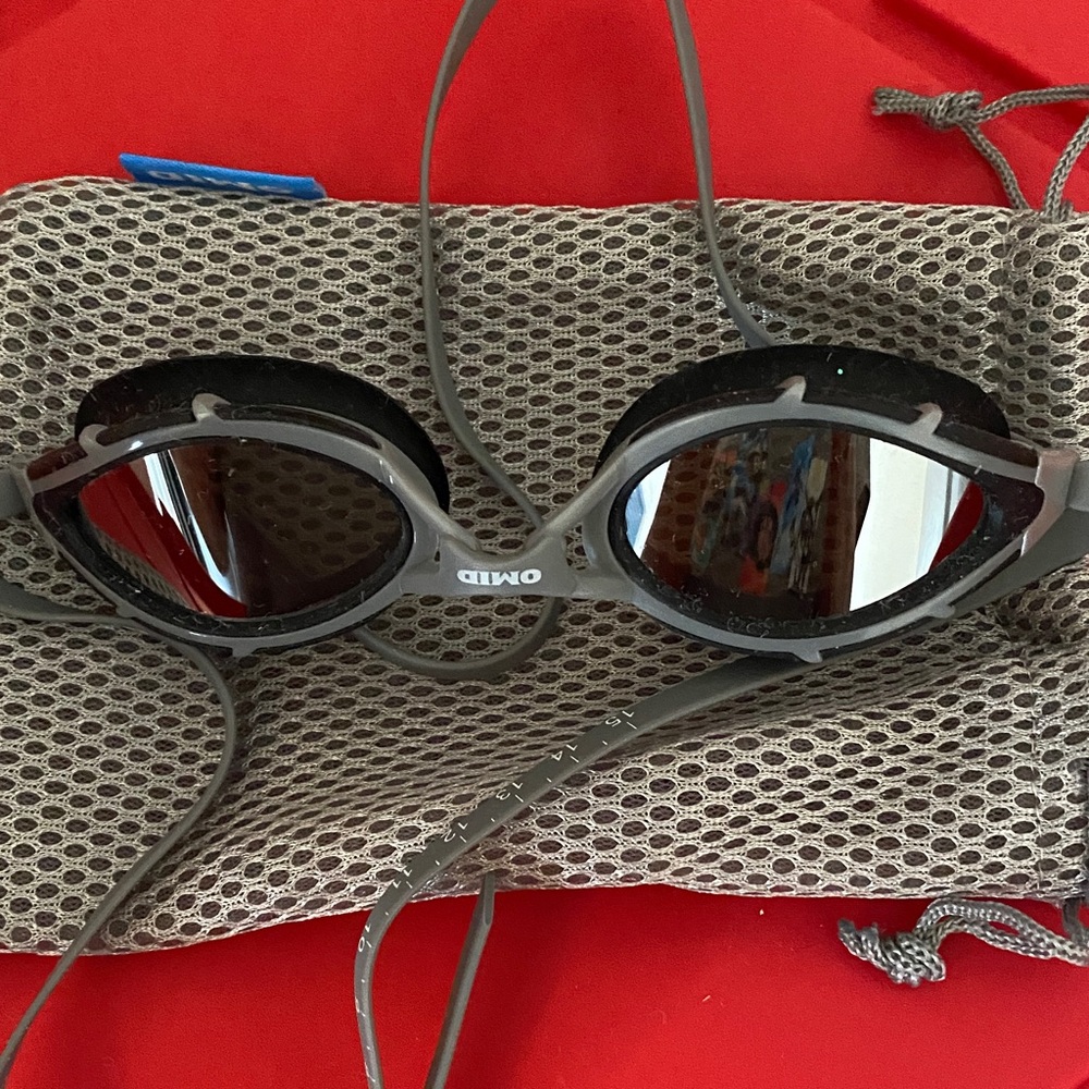 Gray Swimming Goggles NWOT